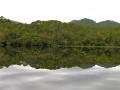Reflections 3.jpg